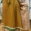 Falda sari 37