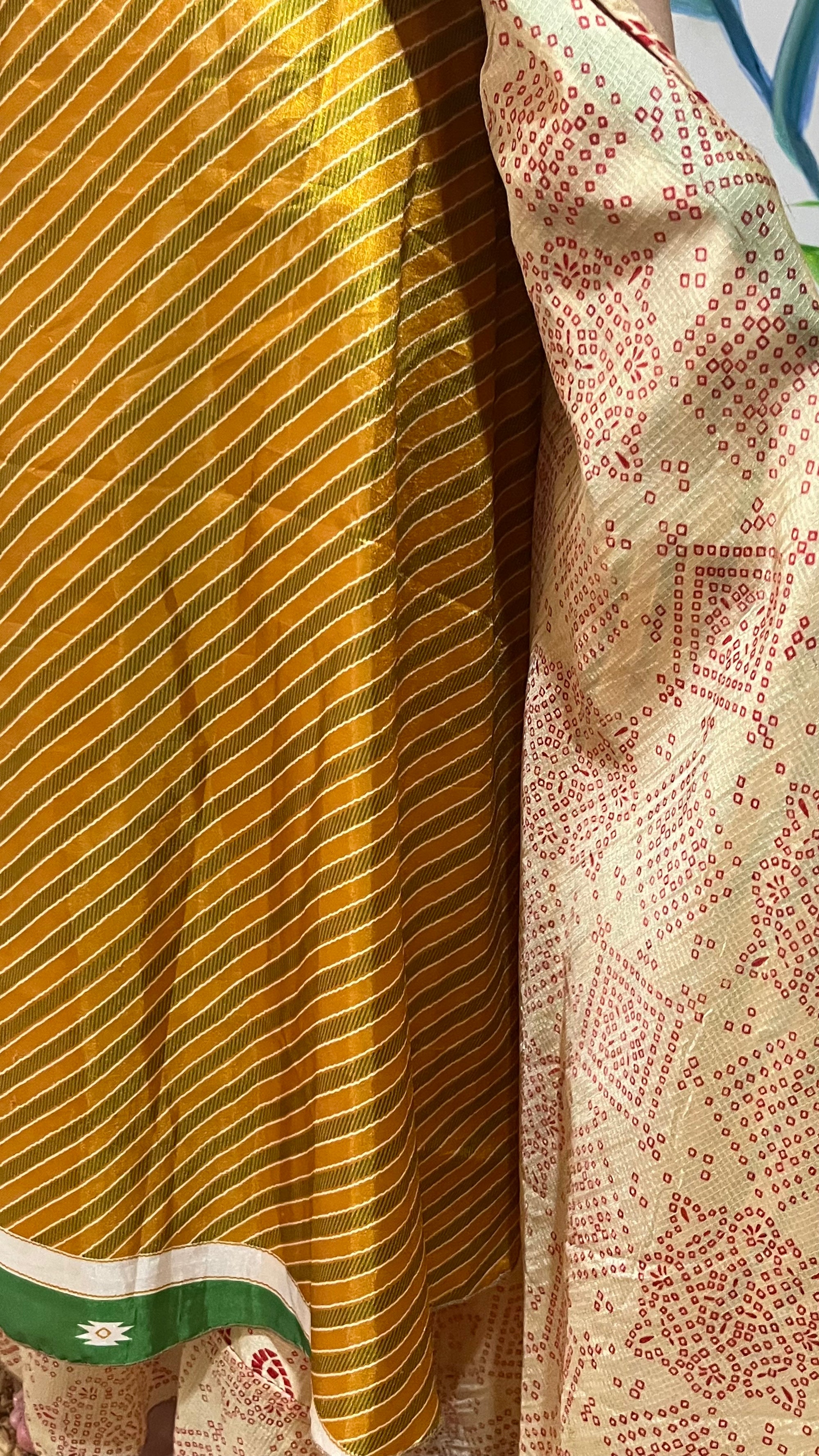 Falda sari 37